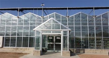 四川温室建设 玻璃温室大棚建设