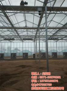 种植玻璃智能温室大棚,郑州佳禾温室,鹤壁玻璃智能温室大棚