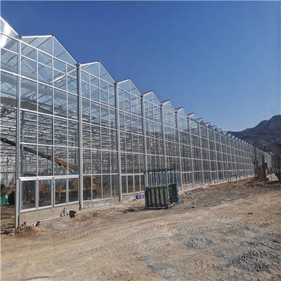 潍坊家庭阳光板温室承建商产品大图