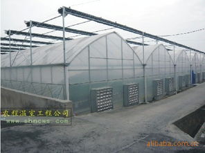 温室公司 江苏大棚骨架 13636375831 温室大棚空调 优质产品